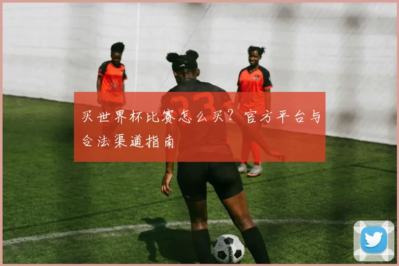 买世界杯比赛怎么买？官方平台与合法渠道指南