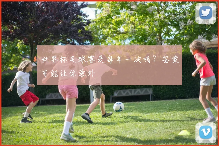 世界杯足球赛是每年一次吗?答案可能让你意外