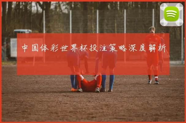 中国体彩世界杯投注策略深度解析