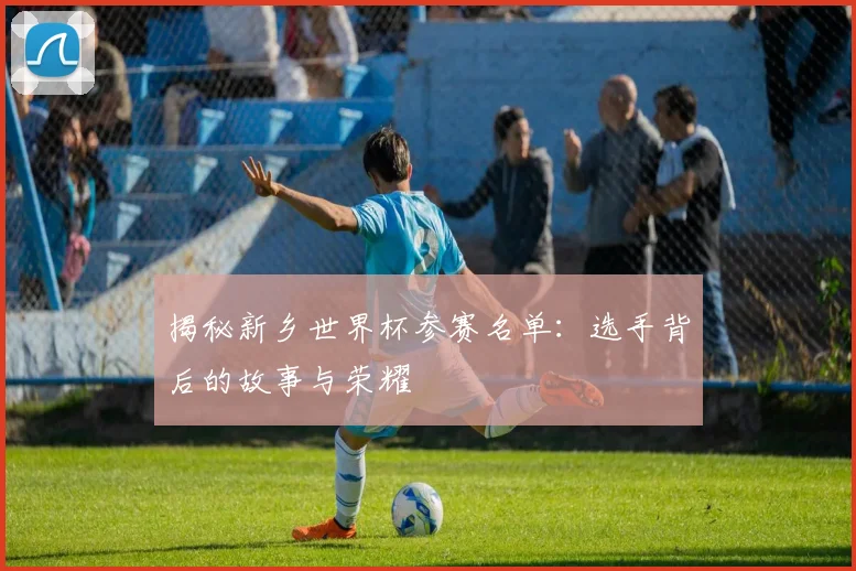 揭秘新乡世界杯参赛名单:选手背后的故事与荣耀