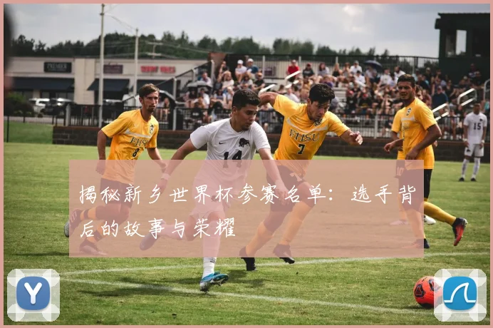 揭秘新乡世界杯参赛名单:选手背后的故事与荣耀