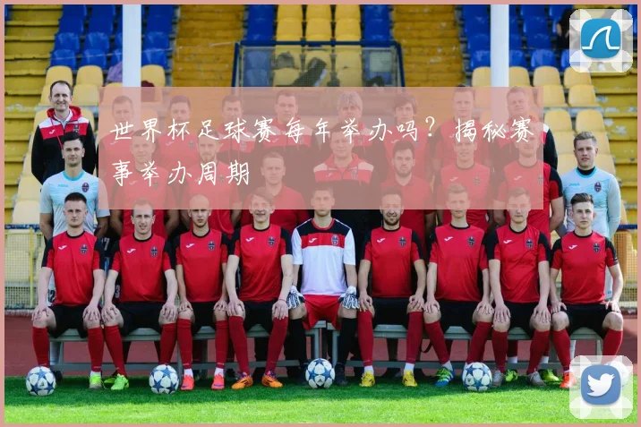 世界杯足球赛每年举办吗?揭秘赛事举办周期